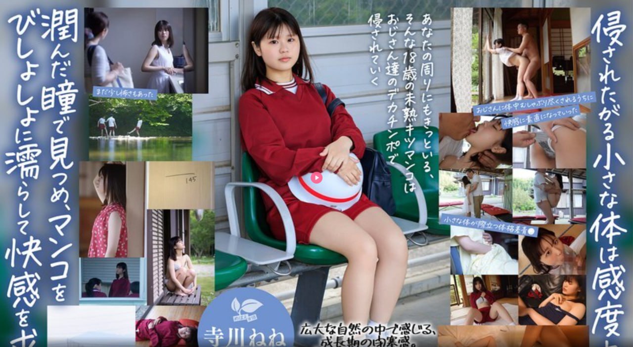 《大年初三主打一个好好休息》神马影院手机在线_ok...